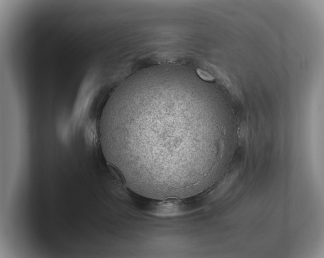 X0000102390335200808081232