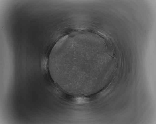 X0000102390336200808081232