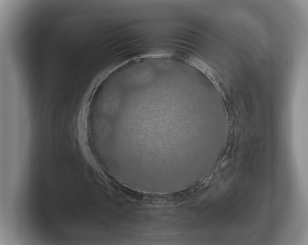 X0000102390337200808081232