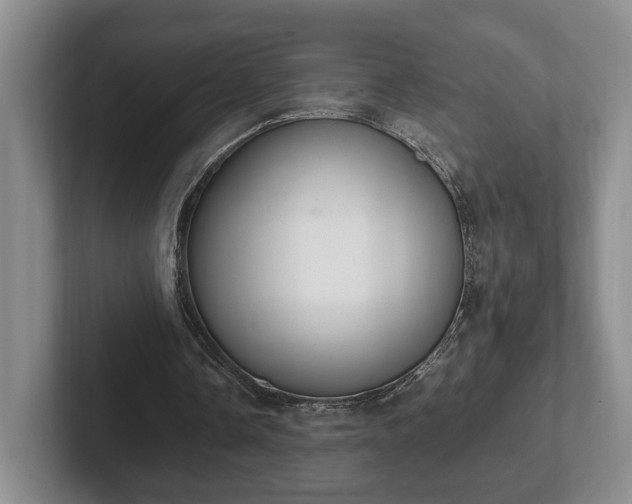 X0000102390338200808081232