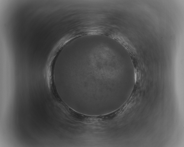 X0000102390339200808081232