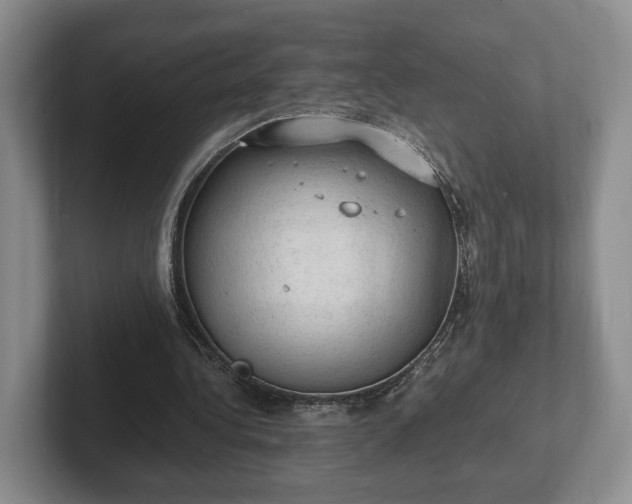 X0000102390340200808081232