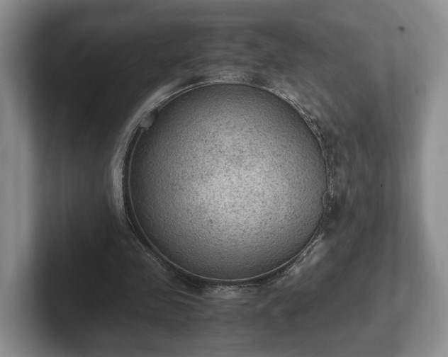 X0000102390341200808081232