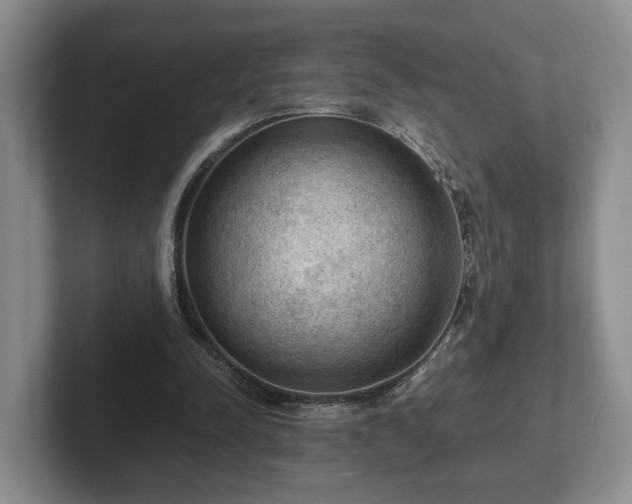 X0000102390342200808081232