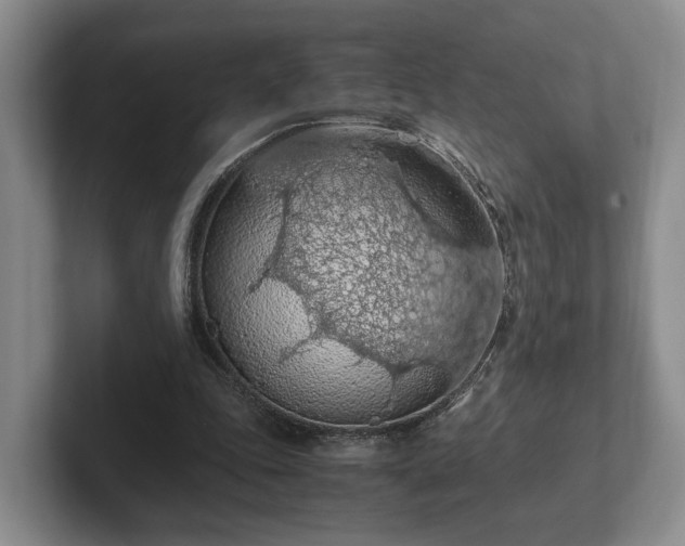 X0000102390343200808081232