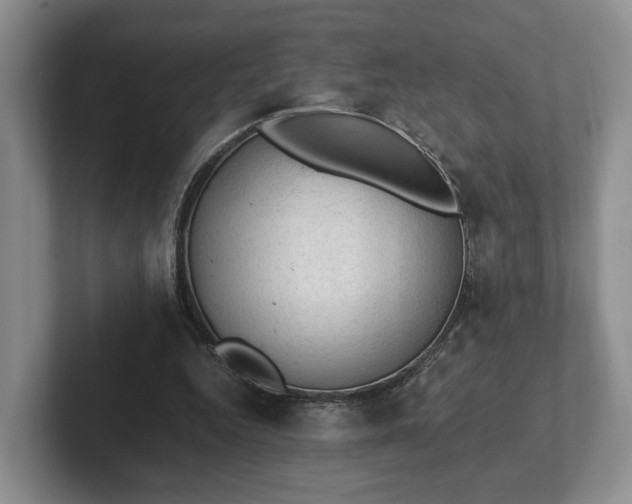 X0000102390344200808081232