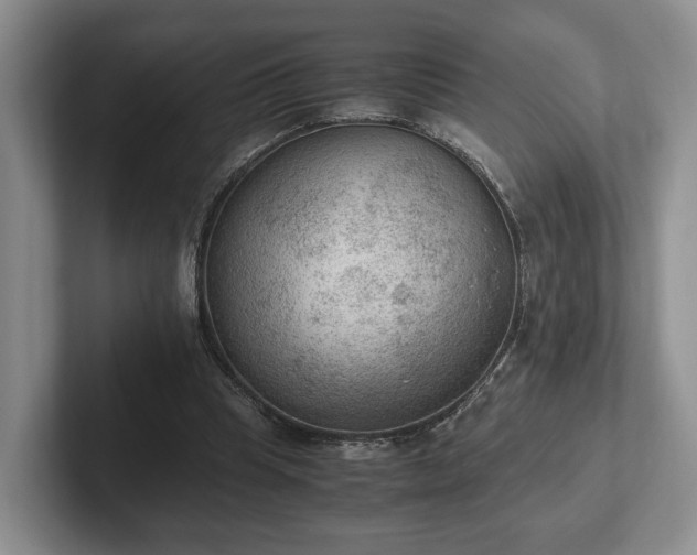 X0000102390345200808081232