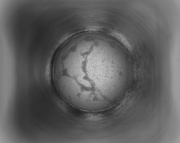 X0000102390346200808081232