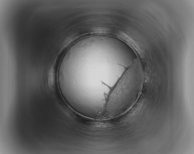 X0000102390347200808081232