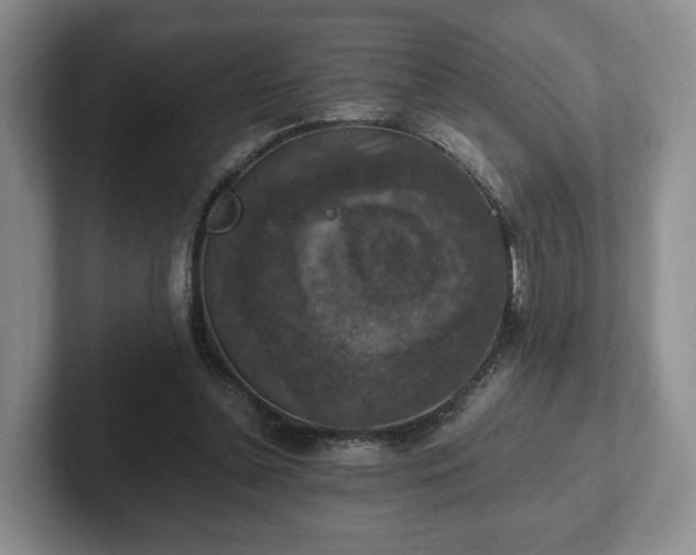 X0000102390348200808081232