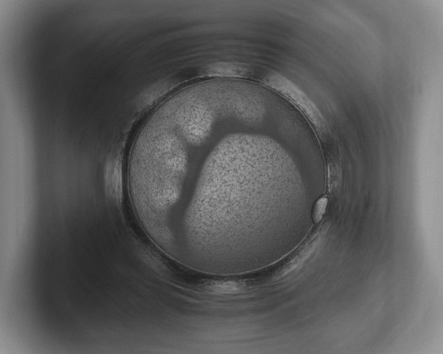 X0000102390349200808081232