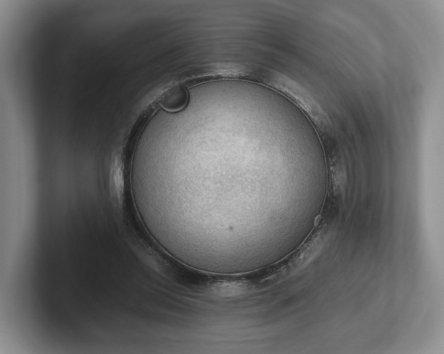 X0000102390350200808081232