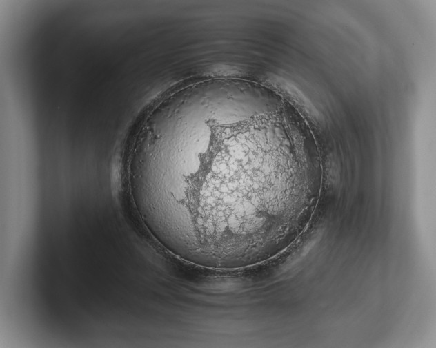 X0000102390351200808081232