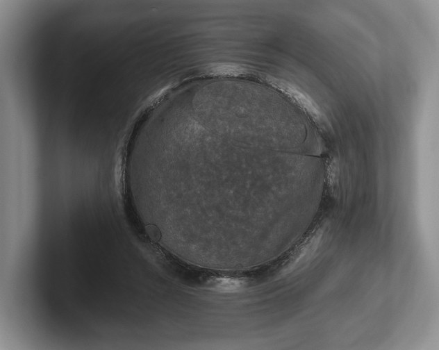 X0000102390352200808081232