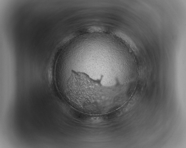 X0000102390353200808081232