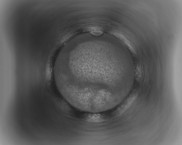 X0000102390355200808081232