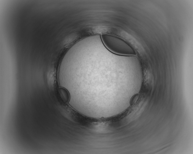 X0000102390356200808081232