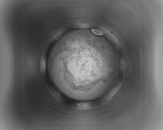 X0000102390358200808081232