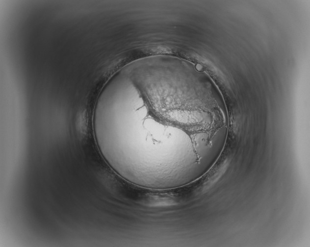 X0000102390359200808081232