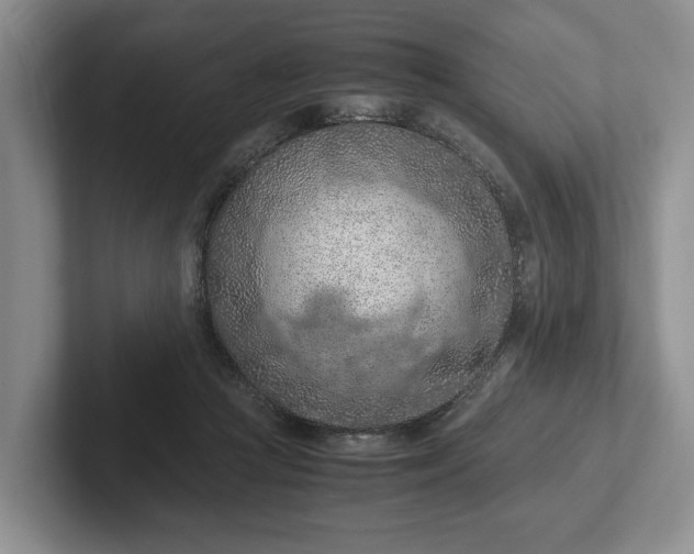 X0000102390361200808081232