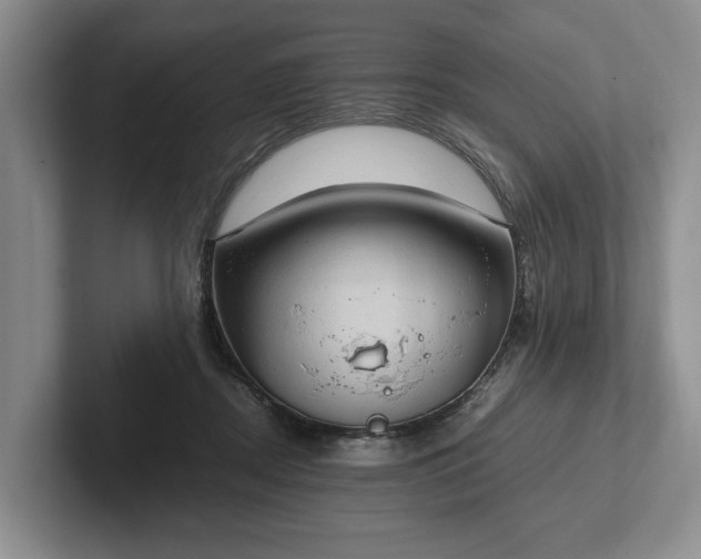 X0000102390362200808081232