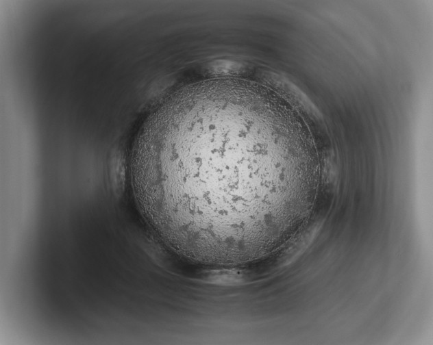 X0000102390363200808081232