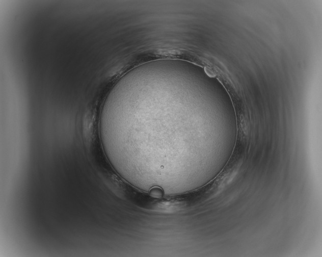 X0000102390364200808081232