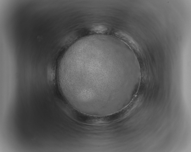 X0000102390365200808081232