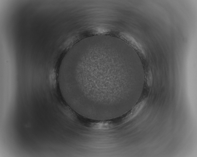 X0000102390366200808081232