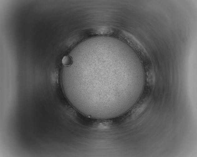 X0000102390368200808081232