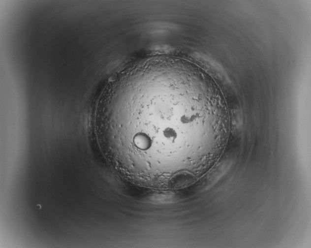 X0000102390369200808081232