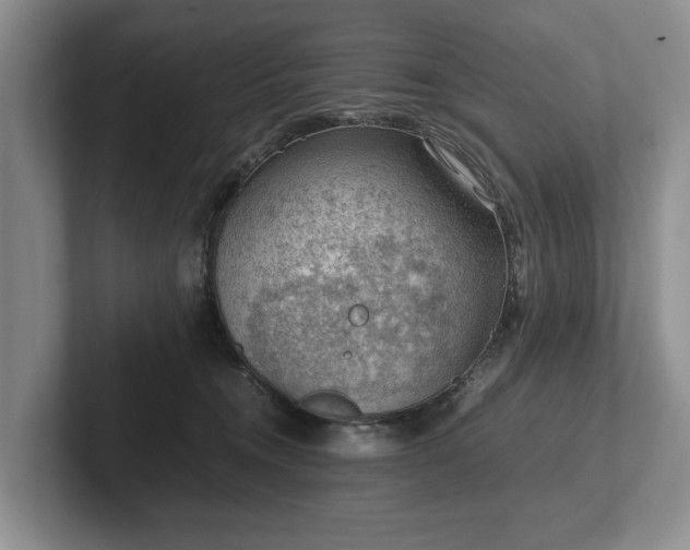 X0000102390372200808081232