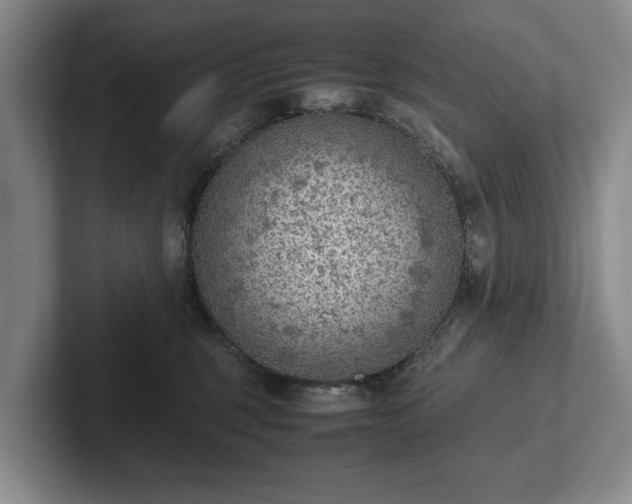 X0000102390375200808081232