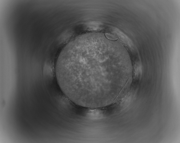 X0000102390376200808081232