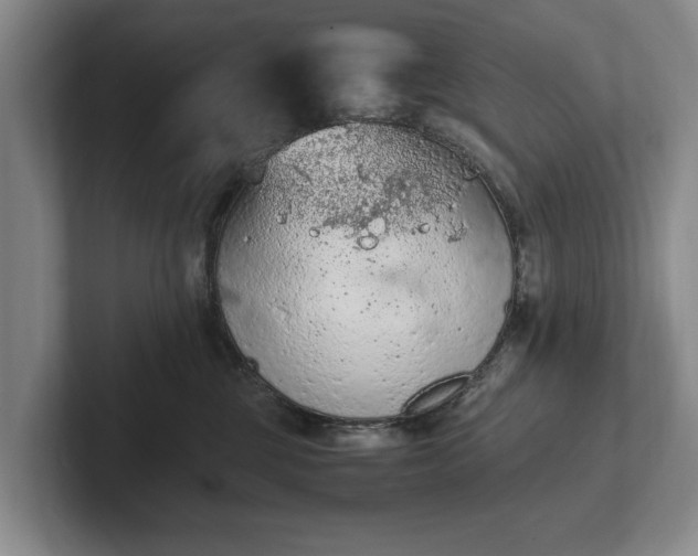 X0000102390377200808081232