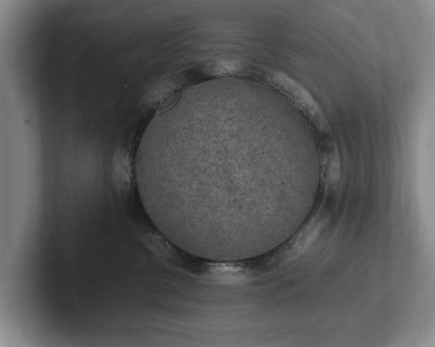 X0000102390380200808081232