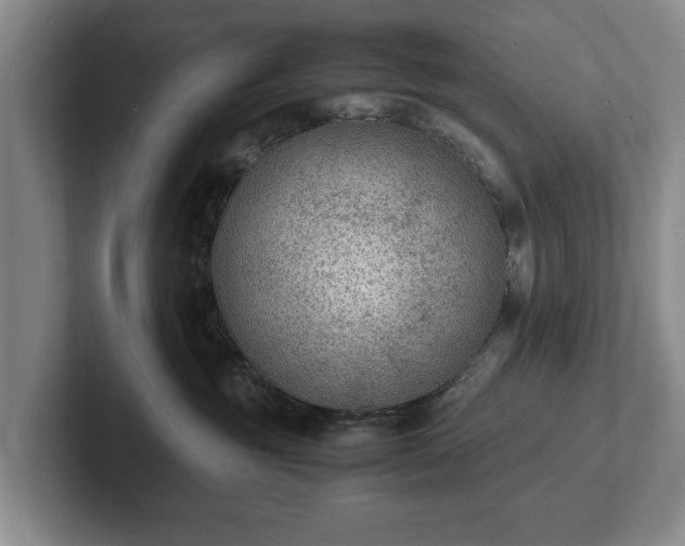 X0000102390381200808081232