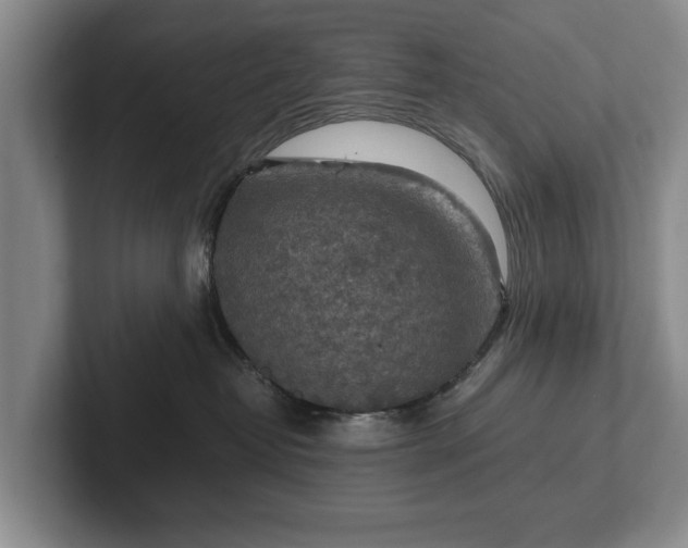 X0000102390382200808081232