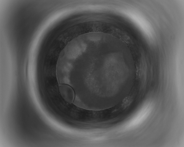 X0000102390383200808081232