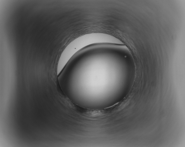 X0000102390384200808081232