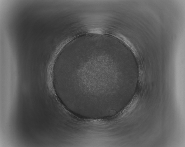 X0000102390385200808081232