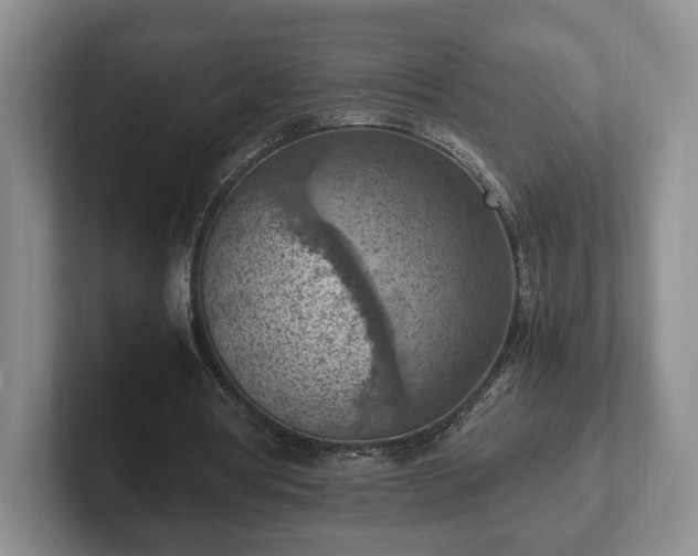 X0000102390386200808081232