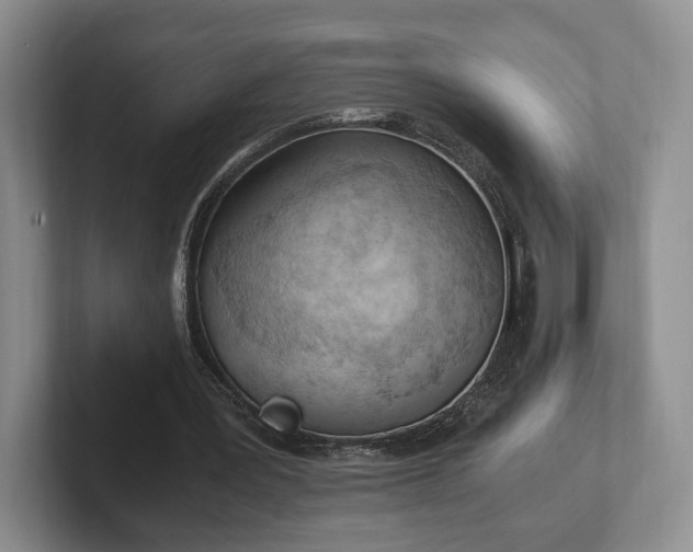 X0000102390387200808081232