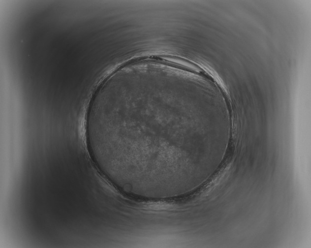 X0000102390389200808081232