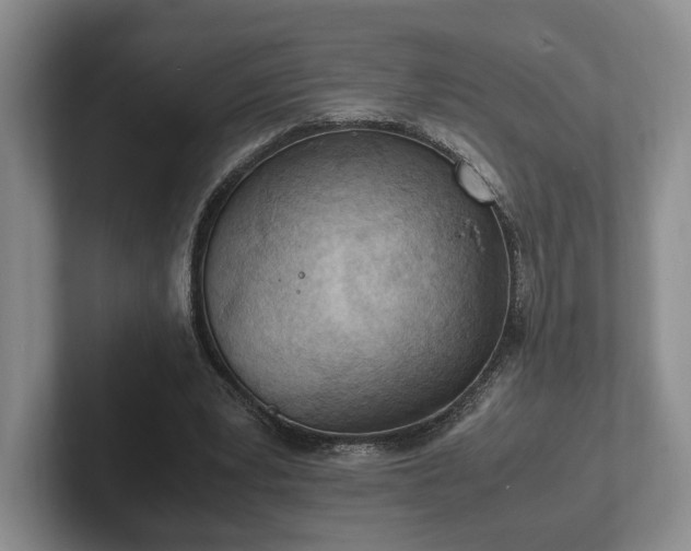 X0000102390391200808081232