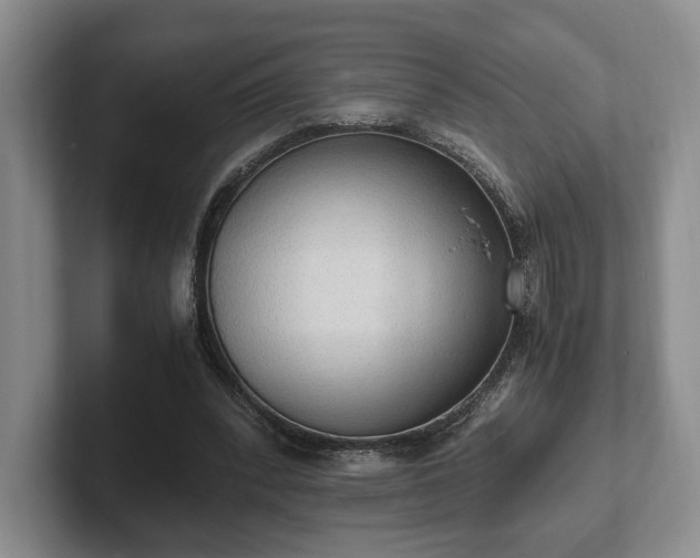 X0000102390392200808081232