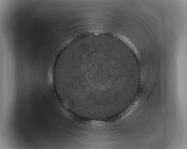 X0000102390393200808081232