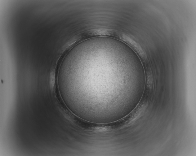 X0000102390394200808081232