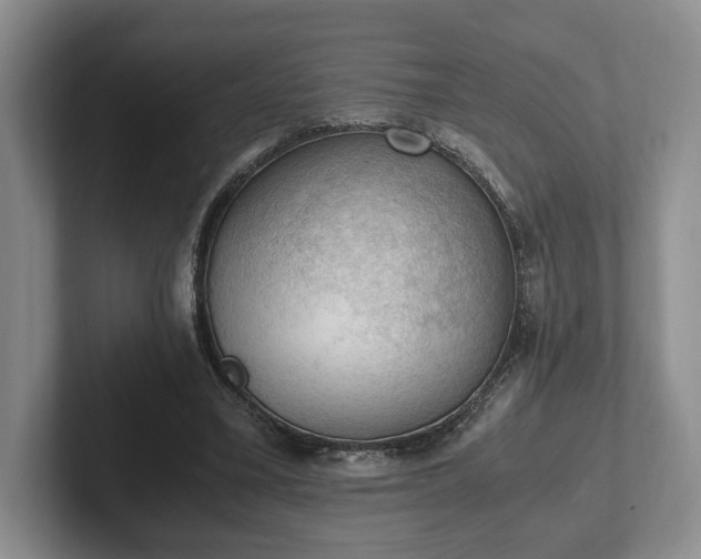 X0000102390395200808081232