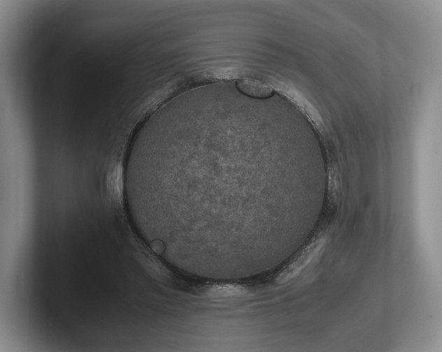 X0000102390397200808081232